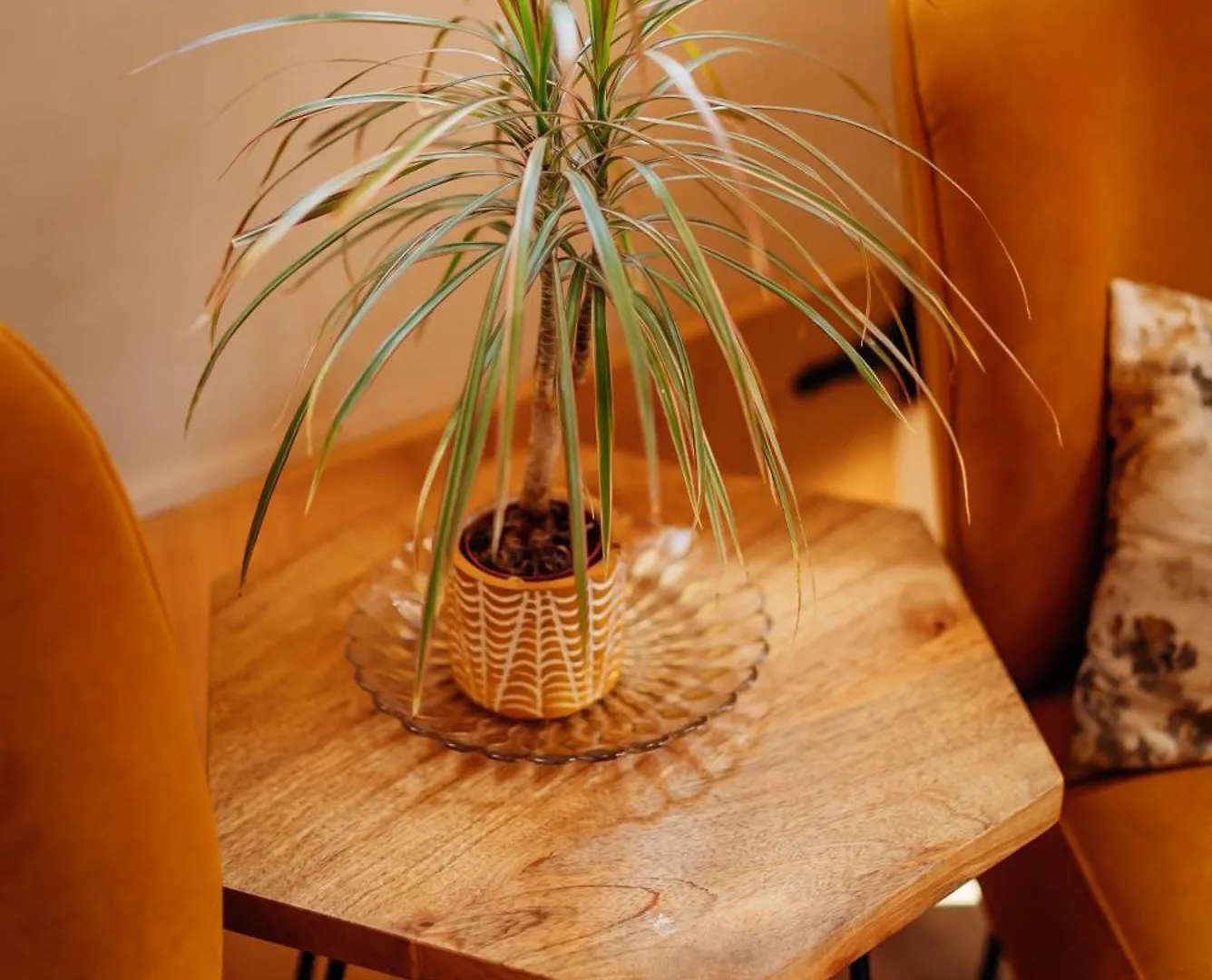 Old Town Villa Trogir Stars With Free Parking Guest house