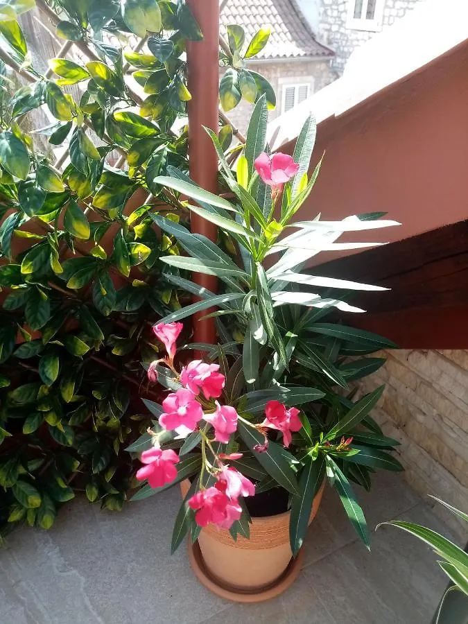 Apartments & Rooms Trogir Stars Free Parking Croatia